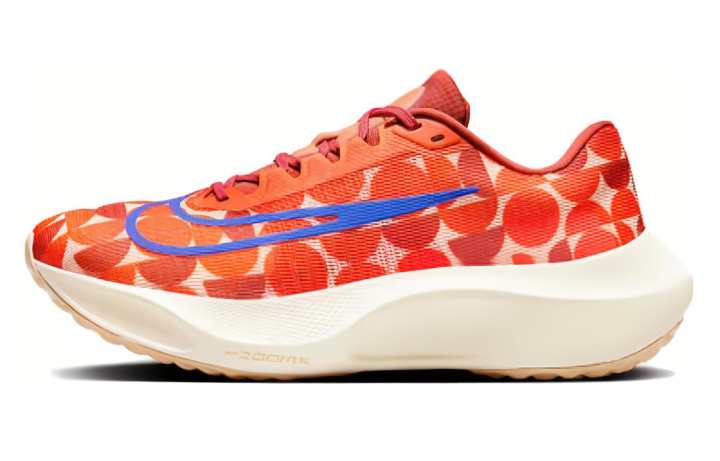 Nike Nike Zoom Fly 5 "Blue Ribbon Sports"