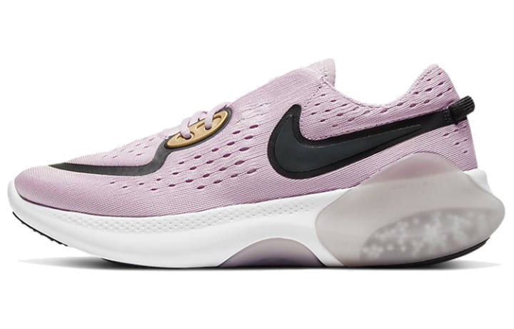 Nike Nike Joyride Dual Run Plum Chalk Women's