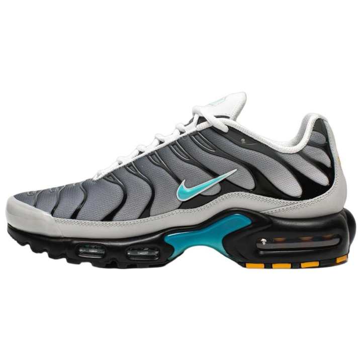 Nike Nike Air Max Plus One Block Down Matte Silver