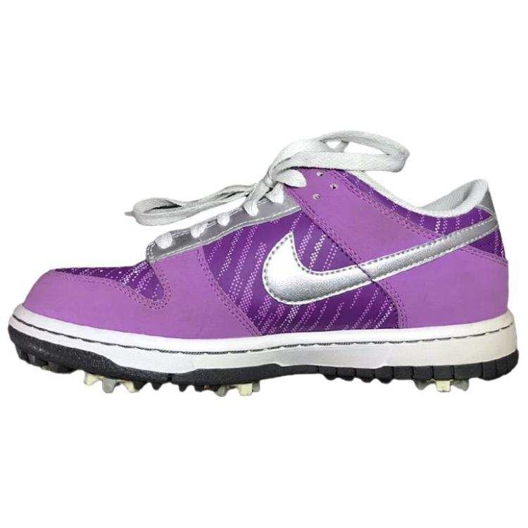 Nike Nike Dunk NG Slip Resistant Abrasion Resistant Low top Golf Shoes Women's Purple