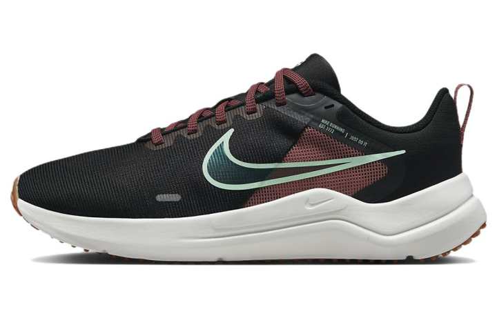 Nike Nike Downshifter 12 'Black Canyon Rust Summit White Mint Foam' Women's