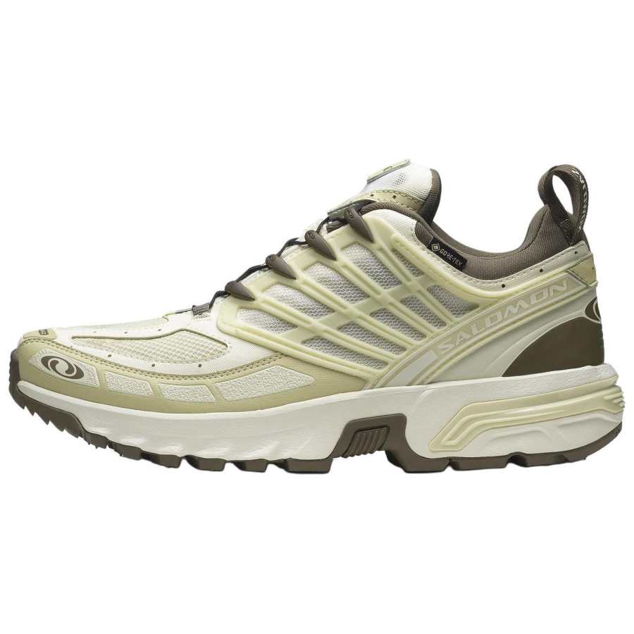 SALOMON Acs Pro Salomon GORE-TEX 'Vanilla Ice Green Haze'