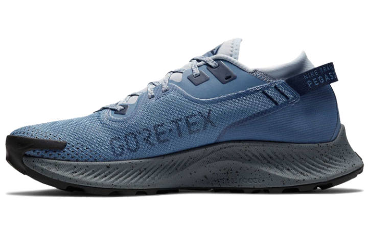 Nike Nike Pegasus Trail 2 Gtx 'Blue Grey'