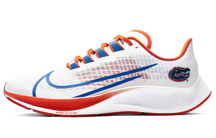 Nike Nike Air Zoom Pegasus 37 Florida