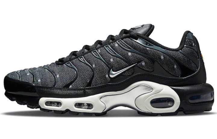 Nike Nike Air Max Plus Se Black Chrome