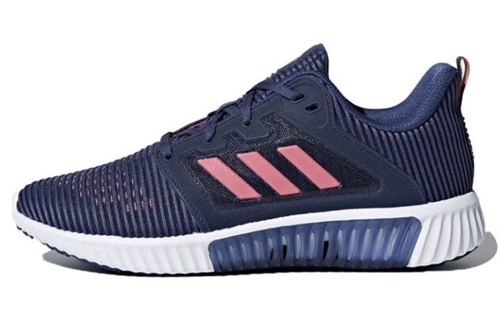 Adidas Adidas Climacool Vent 'Blue Pink White' Women's