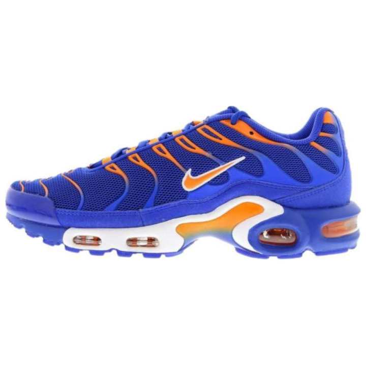 Nike Nike Air Max Plus Cushioning, Wear Resistant Low top Running Shoes Unisex Blue