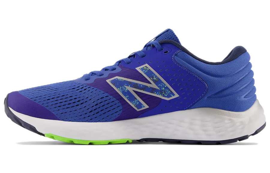 New Balance New Balance 520 V7 'Blue Purple'