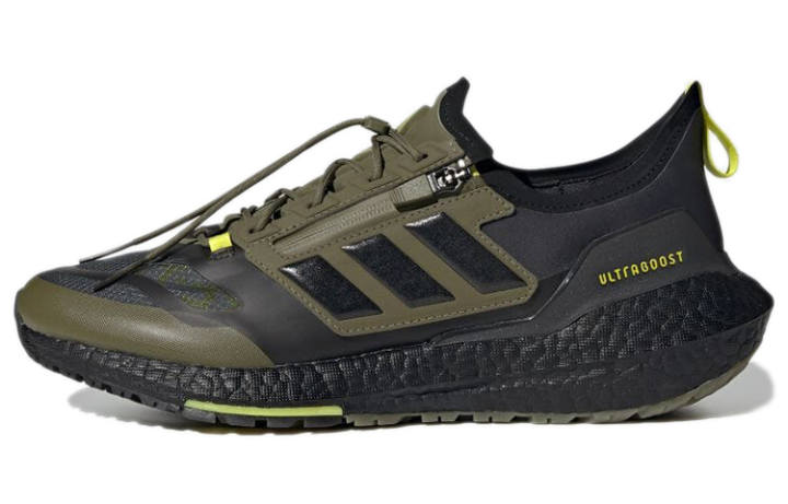 Adidas UltraBoost 21 Adidas Gtx 'Focus Olive'
