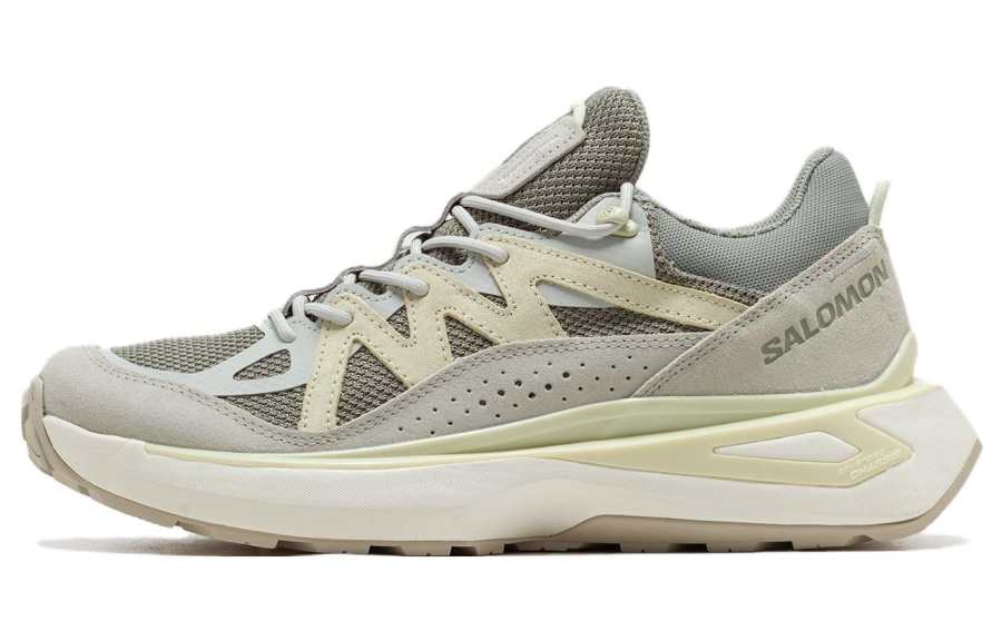 SALOMON ODYSSEY ELMT Low top Casual City Commuting Running Shoes Men's Alloy Color