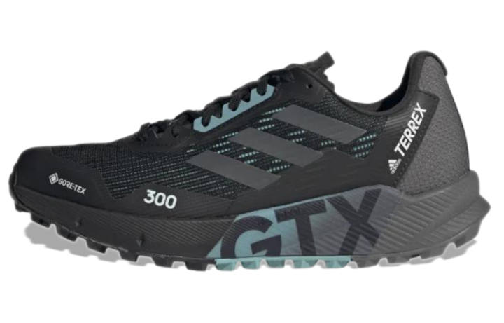 Adidas Adidas Wmns Terrex Agravic Flow 2.0 Gtx 'Black Grey Mint Ton' Women's