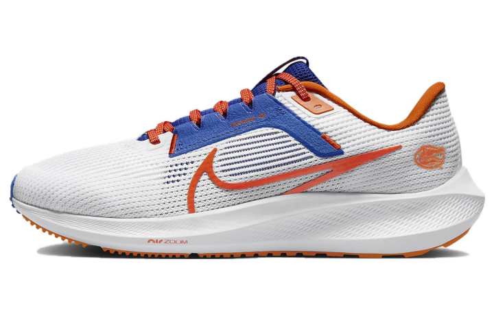 Nike Nike Pegasus 40 Florida