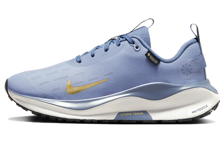 Nike Nike ReactX Infinity Run 4 GORE TEX 'Ashen Slate Metallic Gold' Women's