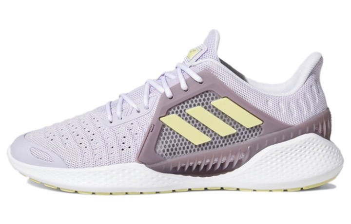 Adidas Adidas Climacool Vent Summer.Rdy Ck U 'Purple Yellow' Women's