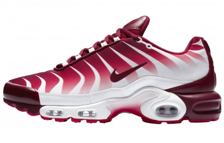 Nike Nike Air Max Plus After The Bite