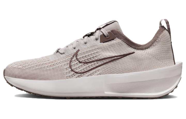 Nike Nike Interact Run Platinum Violet Smokey Mauve Women's