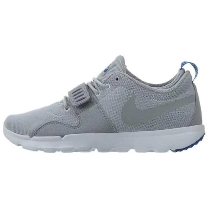 Nike Nike Trainerendor Pure Platinum Wolf Grey Gym Royal White