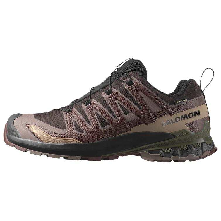 SALOMON Xa Pro 3D V9 Salomon GORE-TEX 'Rum Raisin'