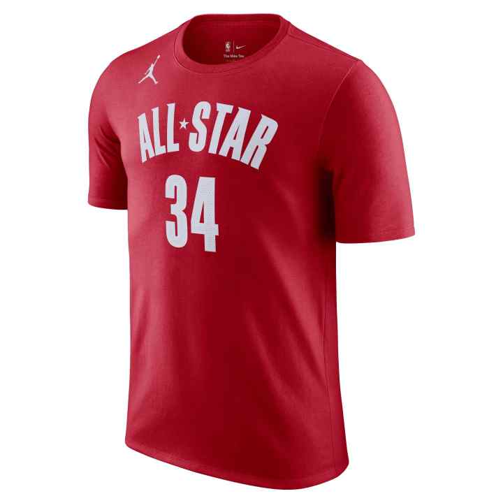 Jordan Jordan T Shirts Men's Gym Red Crew Neck Moderate