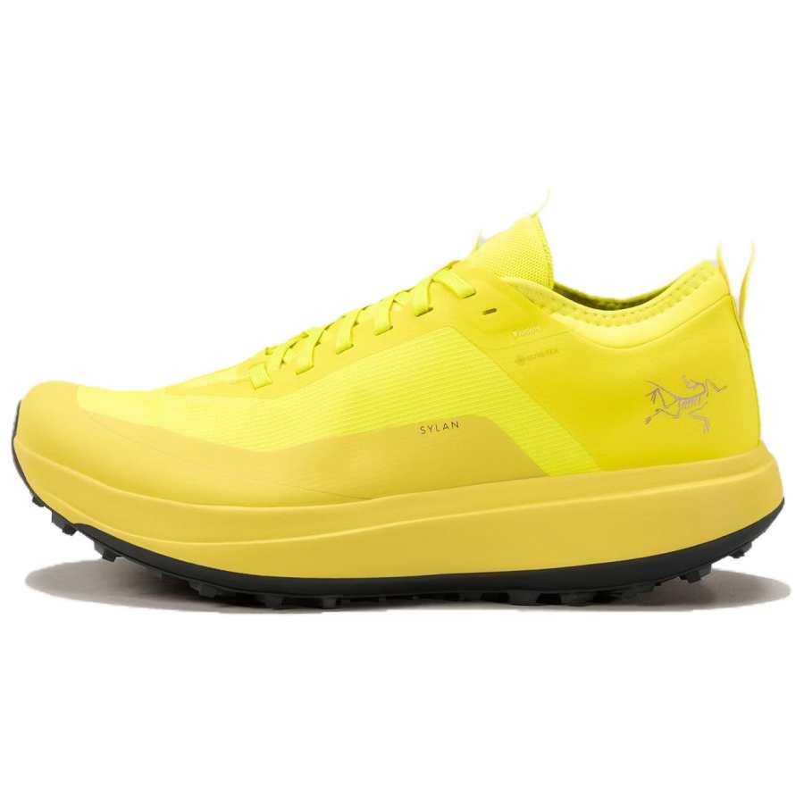 Arcteryx Arc'teryx SYLAN Waterproof And Breathable Low top Trail Running Marathon Training Long Distance Running Shoes