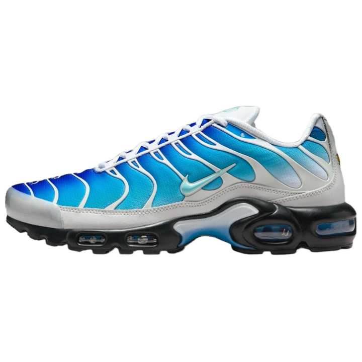 Nike Nike Air Max Plus One Block Down Light Photo Blue