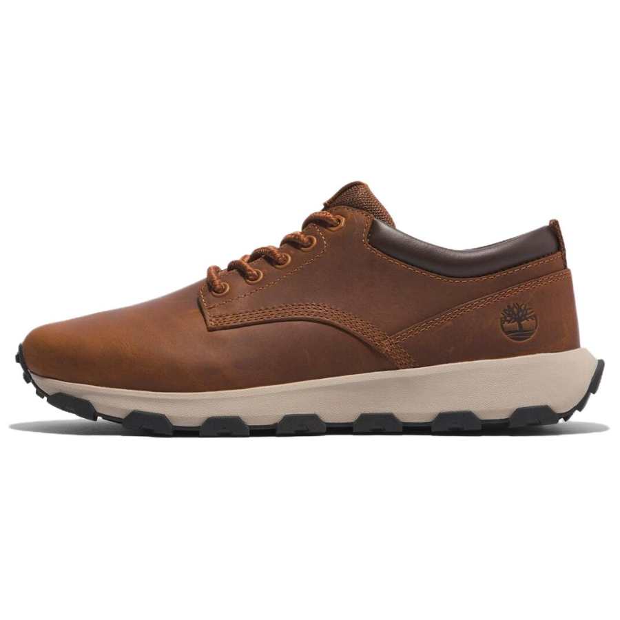 Timberland Slip Resistant Abrasion Resistant Slip Resistant Abrasion Resistant Low top Casual Shoes Men's Brown