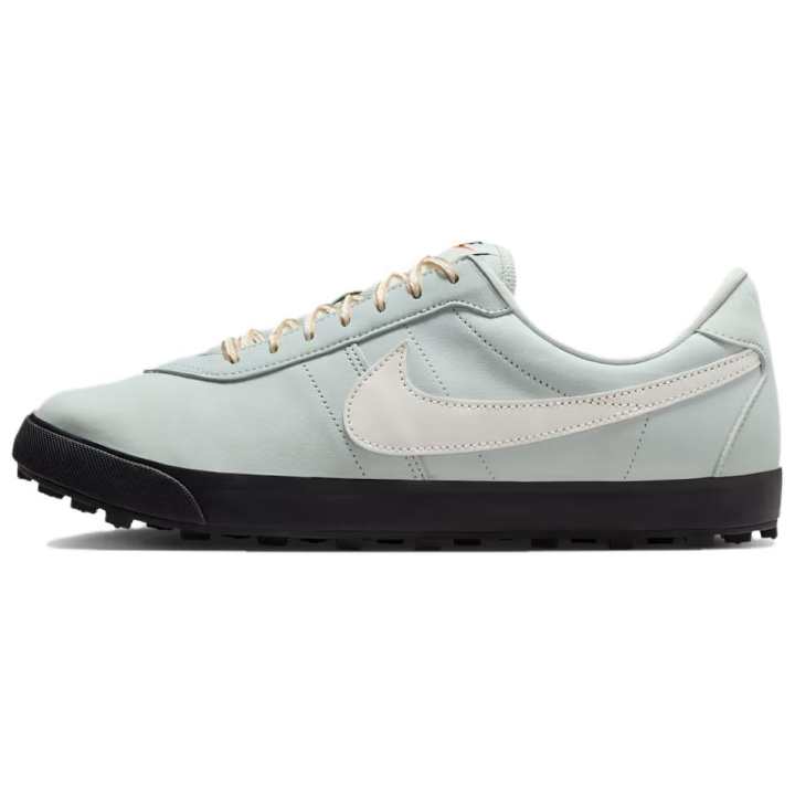 Nike Nike ASTRO GRABBER Casual Shoes Men's Light Silver