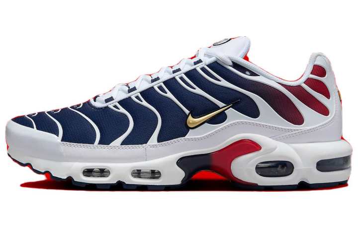 Nike Nike Air Max Plus Psg
