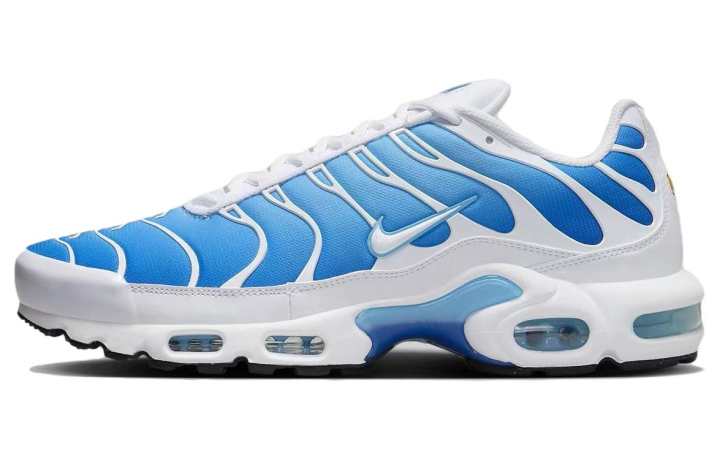 Nike Nike Air Max Plus 'Sky Blue'