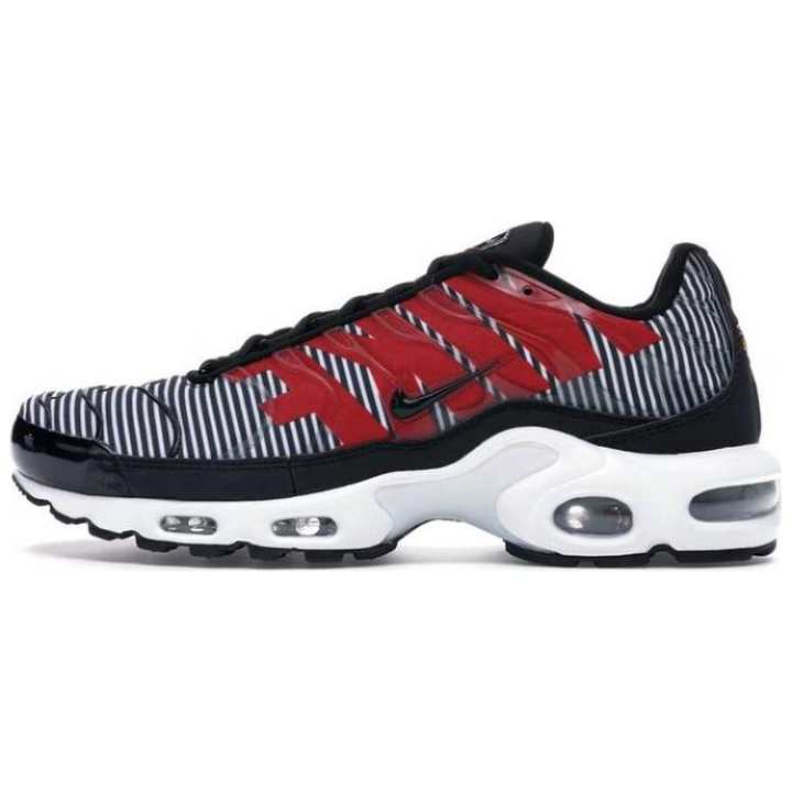 Nike Nike Air Max Plus Striped Black White
