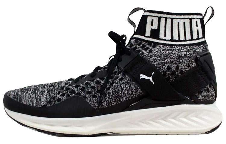 PUMA PUMA Ignite EvoKnit Black/Quiet Shade White