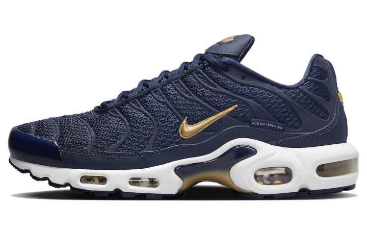 Nike Nike Air Max Plus 'French Football Federation'