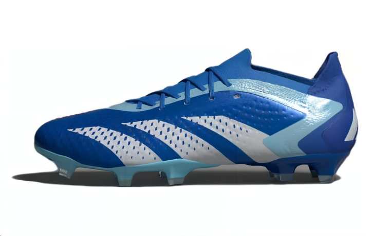 Adidas Adidas Predator Accuracy.1 Low Fg Marinerush Pack