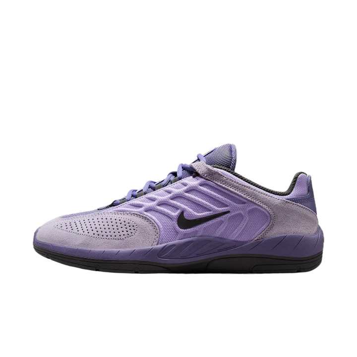 Nike Nike Sb Vertebrae Low top Casual Shoes Men's Purple