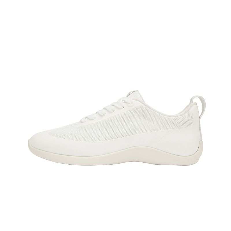 Allbirds Low top Casual Shoes Women's Natural White