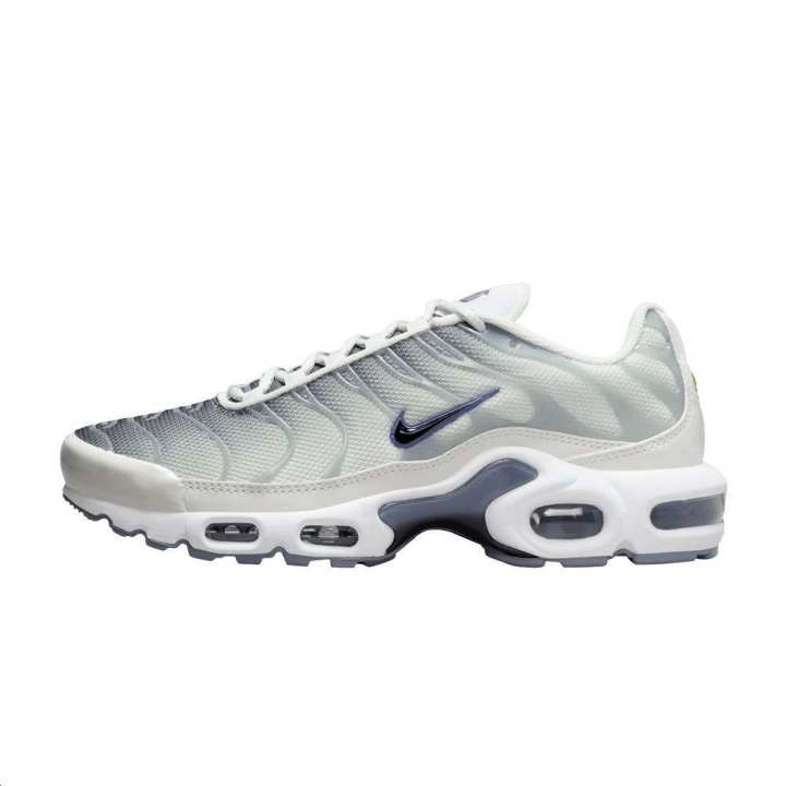 Nike Nike Air Max Plus Smoke Grey Ashen Slate Women's