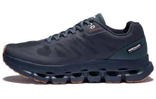 NORTHLAND Mesh, Textile, Synthetic Leather Cushioning Slip Resistant Abrasion Resistant Low top Casual Shoes Blue