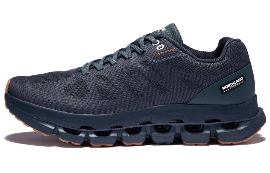 NORTHLAND Mesh, Textile, Synthetic Leather Cushioning Slip Resistant Abrasion Resistant Low top Casual Shoes Blue
