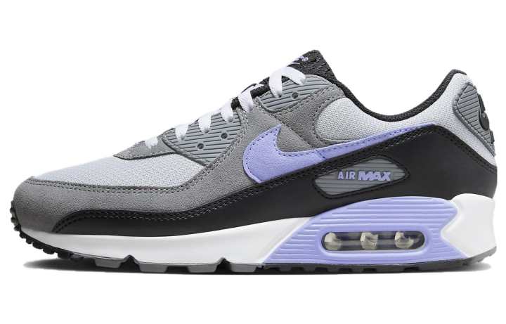 Nike Nike Air Max 90 Photon Dust Light Thistle