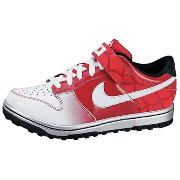 Nike Nike Dunk Gyrizo Japan Olympics 2008