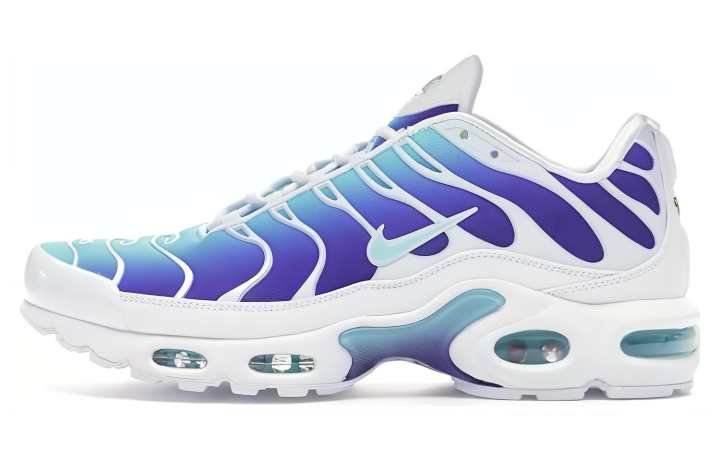 Nike Nike Air Max Plus Bleached Aqua Fierce Purple Women's