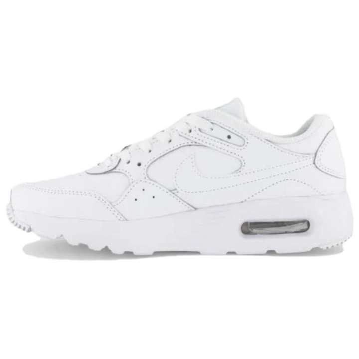 Nike Nike Air Max SC Cushioning Low top Casual Shoes Women's White