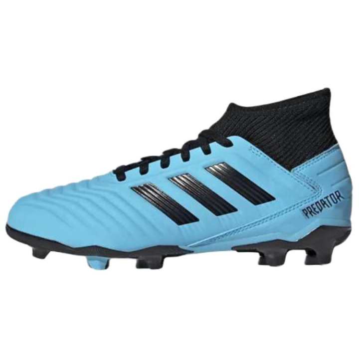Adidas Adidas Predator 19.3 Fg 'Turquoise'