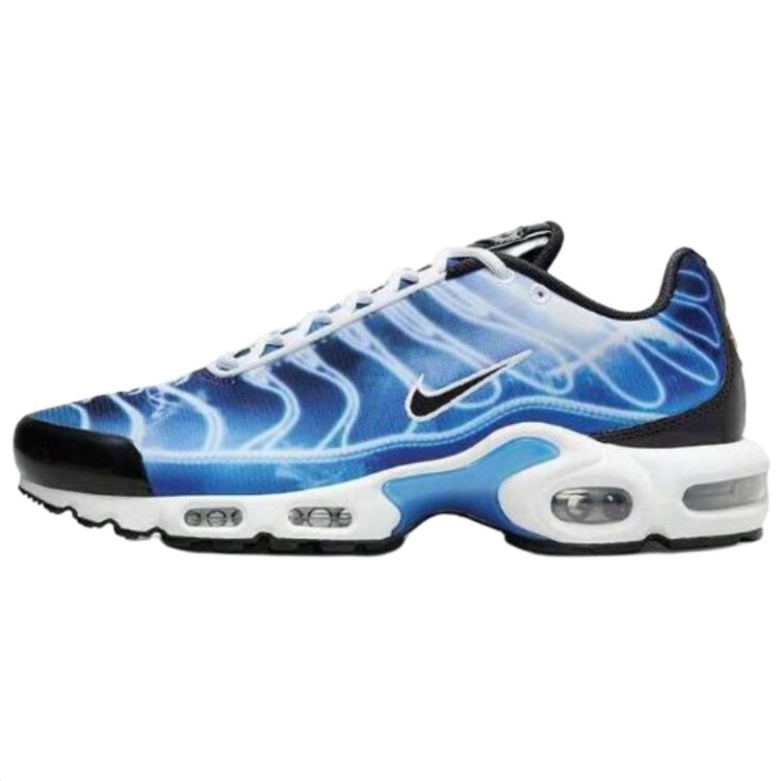Nike Nike Air Max Plus Low top Casual Shoes Men's Blue