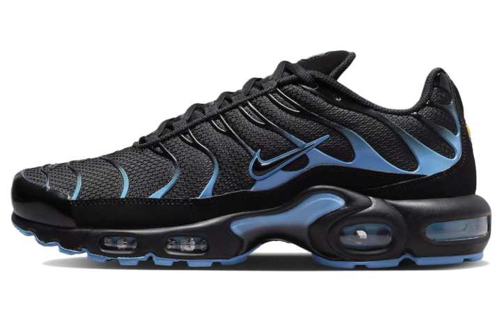Nike Nike Air Max Plus 'Black University Blue'