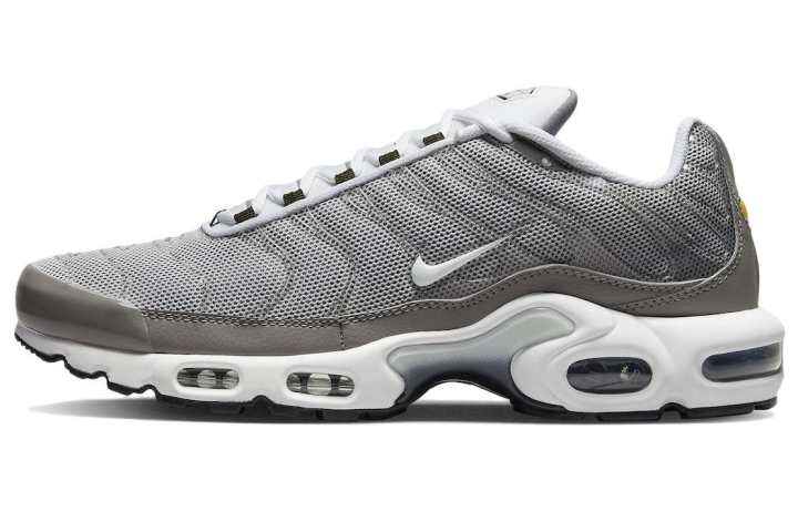 Nike Nike Air Max Plus Flat Pewter