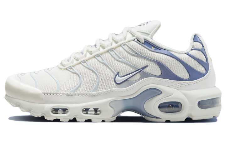 Nike Nike Air Max Plus Ashen Slate Women's