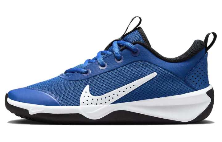 Nike Nike Omni Multi-Court GS 'Game Royal'