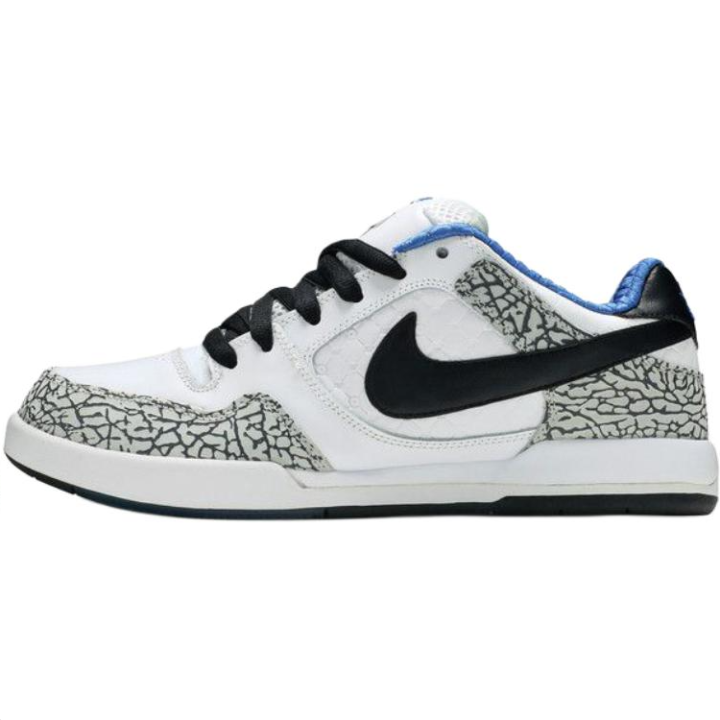 Nike Nike Paul Rodriguez 2 Casual Shoes Men's White