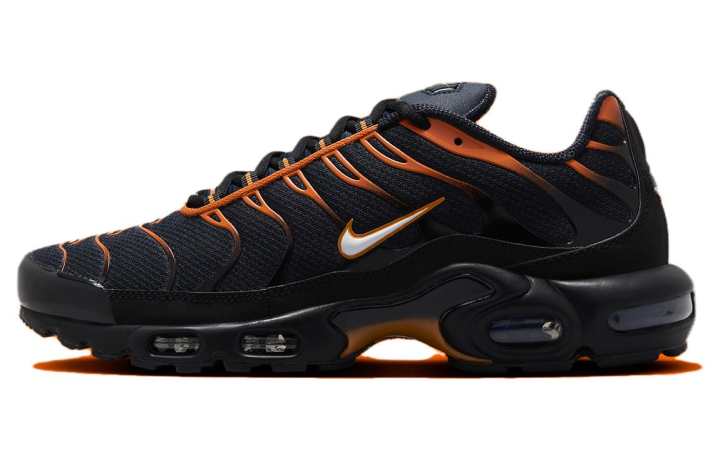 Nike Nike Air Max Plus Dark Obsidian Monarch